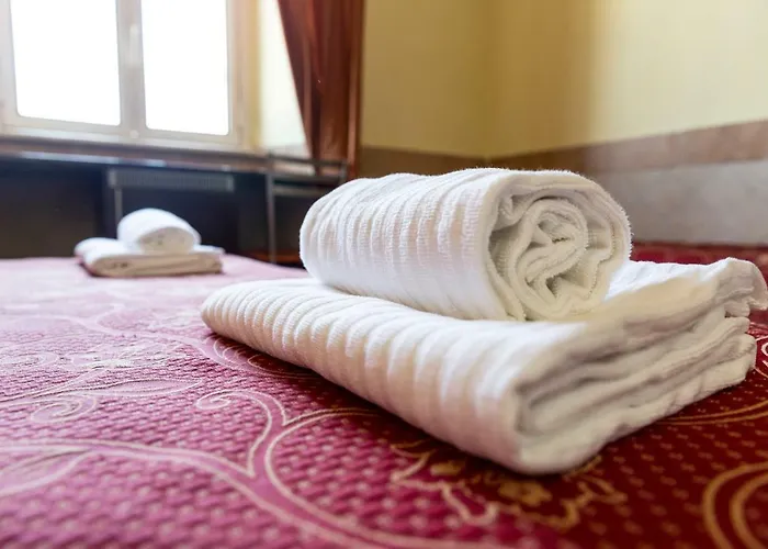 Hotell Palestro Palace